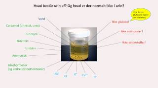 Nyrer og urinveje Hvad er der og hvad er der ikke i urin [upl. by Hteboj]