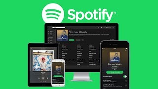 Das Große Spotify Tutorial Alles was du wissen musst [upl. by Francisca]