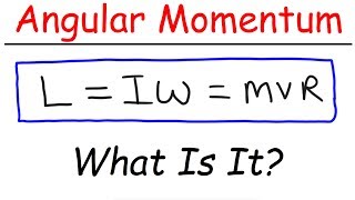 What Is Angular Momentum [upl. by Anits43]