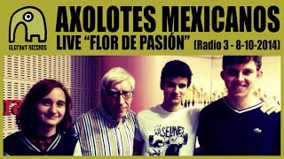 AXOLOTES MEXICANOS  Live quotFlor De Pasiónquot Radio 3  8102014 [upl. by Jed325]