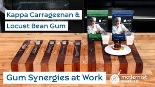 Gum Synergies at Work Kappa Carrageenan amp Locust Bean Gum WTF  Ep 294 [upl. by Ardnahc]