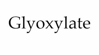 How to Pronounce Glyoxylate [upl. by Nwahsyar364]