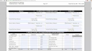 How to fill out a Uniform Residential Loan Application Fannie Mae 1003 Explained [upl. by Seale729]