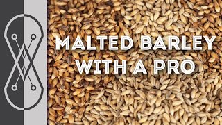 Professional Maltster Explains Malting Barley  Matt Drew [upl. by Nyrac648]