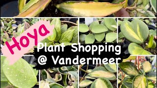 Plant Shopping  Vandermeer Hoya philodendron cactus and more houseplants￼￼ [upl. by Eicam]