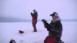 InDepth Outdoors On Ice 0026 Tips for Tullibee on Lake Winnibigoshish Big Winnie [upl. by Guria]