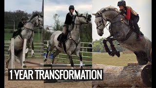 MY CRAZY HORSES 1 YEAR TRANSFORMATION [upl. by Nihcas332]