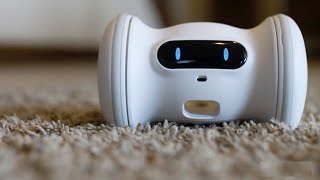 Cool 5 Home Robots For Your Everyday Life [upl. by Longley]