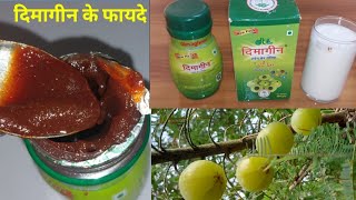 Dimageen ke fayde  दिमागीन के फायदे  Dimageen Brain Tonic  Dimagheen part 3 [upl. by Mann]