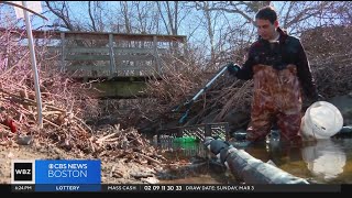 Woburn man cleans up litter from pond with trap made of recycled materials [upl. by Fronnia]