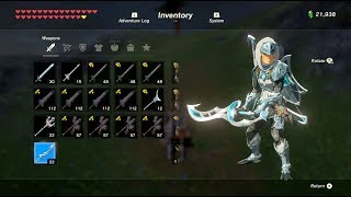 Zelda Breath of the Wild  Lynel vs Full Zora Set [upl. by Netfa]