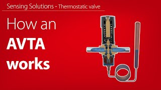 How the AVTA thermooperated water valve works  Working animation [upl. by Akissej]