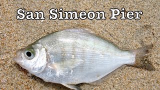 San Simeon Pier Fishing [upl. by Nagiem]