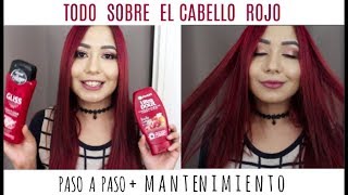 CABELLO ROJO Paso a pasomantenimientopreguntas frecuentes [upl. by Kcim998]