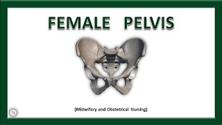 FEMALE PELVIS  Anatomy  Bones  Ligaments  Joints  True amp False Pelvis  The Nurses Station [upl. by Leelaj]