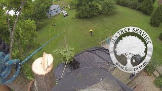 JLs Tree Service  Speedline work in Guelph Ontario removing a maple tree [upl. by Gnes531]