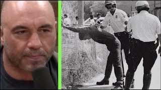 Why the War on Drugs Doesnt Work  Joe Rogan amp Johann Hari [upl. by Sarad832]