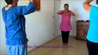 Qi Gong les 8 paumes du Ba Gua [upl. by Jessamyn]