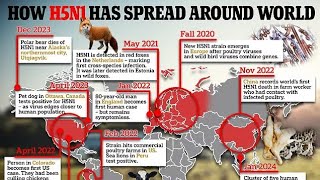 1ST CASE OF 🐓🦠 IN US TO HAVE A “ COUGH amp RESPIRATORY SYMPTOMS ” BE ALERT  🚨 [upl. by Aemat]