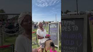 Lavender Festival Review  Mama Michelle content [upl. by Debo]