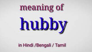 Hubby meaning in Hindi hubby meaning in Bengali hubby meaning in Tamil [upl. by Wessling613]