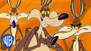 Looney Tunes  Wile E Coyote Genius Extraordinaire  30 Minutes [upl. by Theodora]