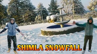 Shimla Snowfall  Snowfall in Kufri Shimla  shimlasnowfall shimlavlog snowvlog [upl. by Onilatac689]