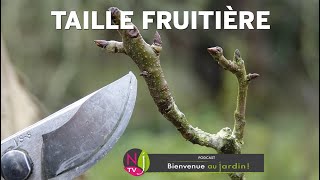 TAILLE DES POMMIERS ET POIRIERS  COMPRENDRE FACILEMENT MÉTHODE ET TECHNIQUE AVEC PATRICK ET ROLAND [upl. by Lanevuj]