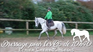 Dressage  Travail du contregalop  10h40  G6  Etrier Cherbourgeois [upl. by Fredi]