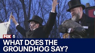 Groundhog Day 2024 The prognosticators have spoken  FOX 5 News [upl. by Savannah543]