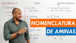 NOMENCLATURA DE AMINAS  Episódio 8 de 11  Funções Orgânicas enem [upl. by Nile]