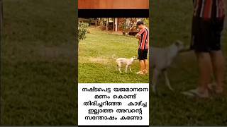 നീ എന്റെ എല്ലാമാണ്❤❤petdogpetdogstreetdogdog petdoglost pet doglover [upl. by Nae109]