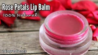 How To Make Lip Balm At Home  DIY Homemade Lip Balm [upl. by Bale]