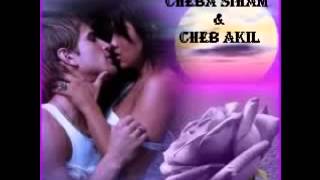 ▶ Cheba Siham amp Cheb Akil Khalitek la Khalit YouTube [upl. by Ellak]