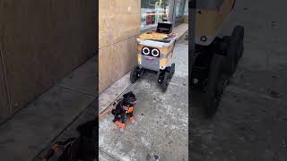 robot food delivery shorts youtubeshorts shortsvideo fyp viral trending asmr satisfying [upl. by Chiquita]