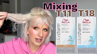 My At Home Hair Toning Experience  WELLA T18 on Curly Hair [upl. by Winni]