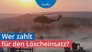 Bleibt Wernigerode auf den Kosten für den BrockenWaldbrand sitzen  MDR SACHSENANHALT HEUTE  MDR [upl. by Ellekcir]