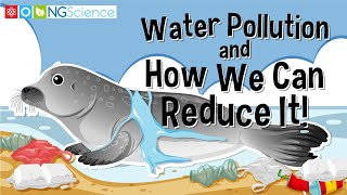 Water Pollution and How We Can Reduce It [upl. by Jessica926]