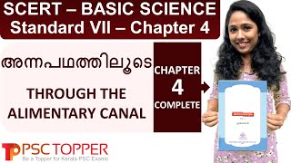 7th Standard SCERT Basic Science Text Book Part 1  Chapter 4  Kerala PSC Important Points [upl. by Alleynad302]