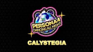 Calystegia  Persona 4 Dancing All Night [upl. by Eilloh229]