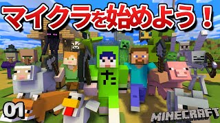 【01】初心者向けのマインクラフト 序盤のサバイバルを解説！【minecraft】 [upl. by Eward573]