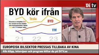 Europeisk bilsektor pressas av Kina ”Kommer se ett flöde av billiga elbilar” [upl. by Oinimreh934]