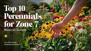 Top 10 Perennials That Bloom All Summer for Zone 7  Say Goodbye to Dull Gardens [upl. by Bidle]