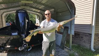 Jug fishing the Warrior River and New PB longnose Gar [upl. by Zoilla]