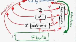 The Carbon Cyclemp4 [upl. by Graehme]