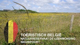 België  Natuurreservaat De IJzermonding  Nieuwpoort [upl. by Leinnad]