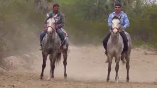 Carreras de Caballos  quotEl Cadetequot Grupo Laberinto [upl. by Norra925]