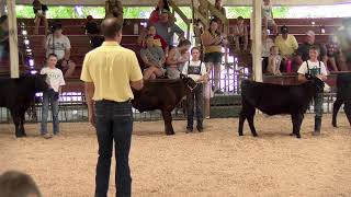 2024 Washington County Fair Bucket Bottle Calf [upl. by Adoree]