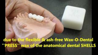 ANATOMICAL DENTAL SHELL VIDEO [upl. by Wedurn630]