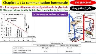 Questce que le taux de glycémie [upl. by Shaylah]